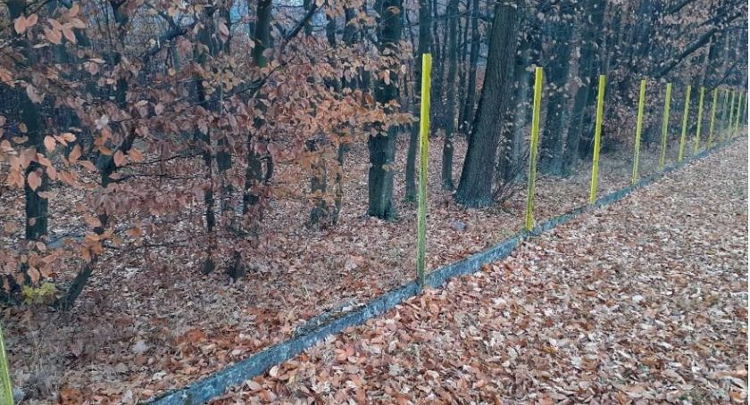 Zdjęcie siatki i słupków skradzionych przy szkole w Niekłaniu