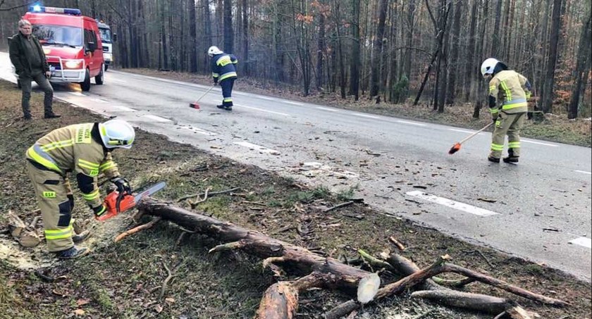 Zdjęcie strażaków, którzy usuwają drzewo z drogi