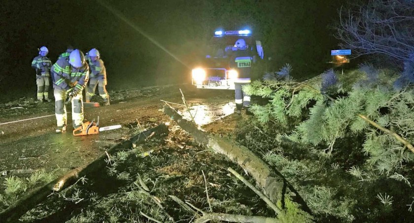Zdjęcie druhów z Rudy Malenieckiej, którzy usuwali powalone drzewa z drogi krajowej