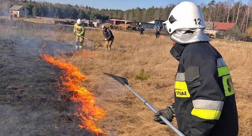 Zdjęcie strażaków, którzy w gaszeniu pożaru traw pomagają sobie tłumicami