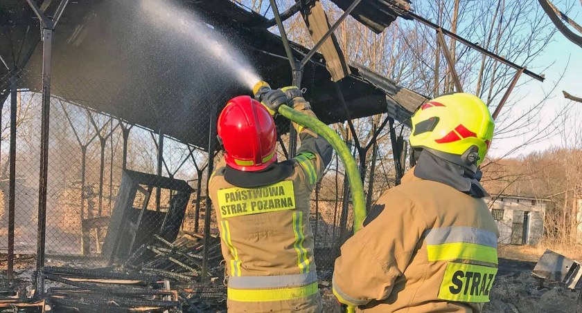 Zdjęcie, na którym strażacy dogaszają wiatę 