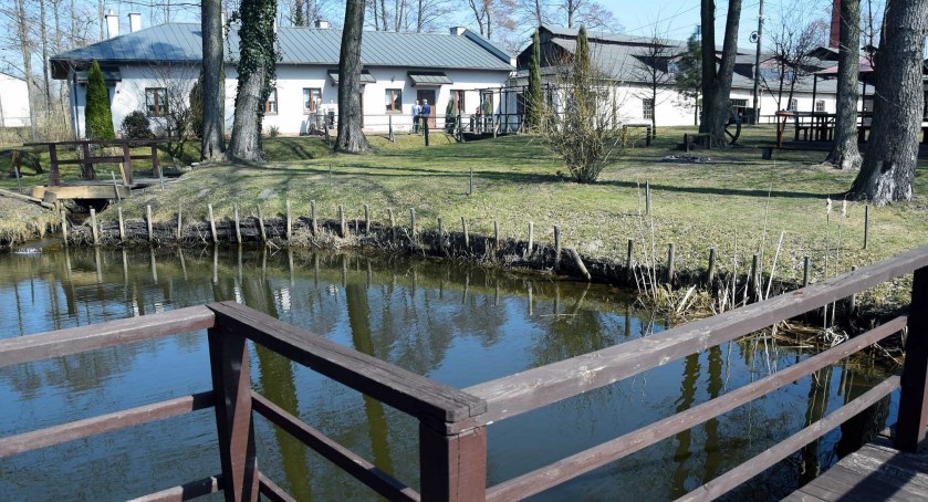 Zdjęcie terenu nad stawem w malenieckim zakładzie, który będzie zagospodarowany