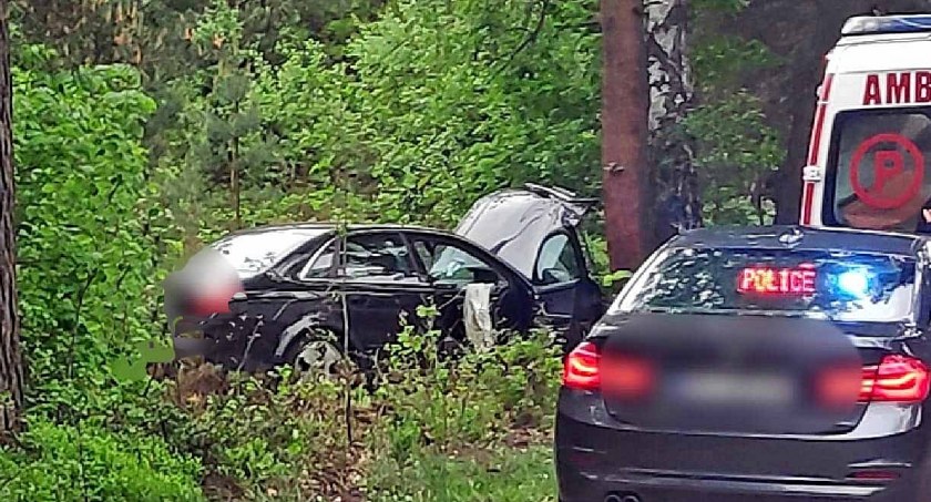 Zdjęcie audi po uderzeniu w drzewo