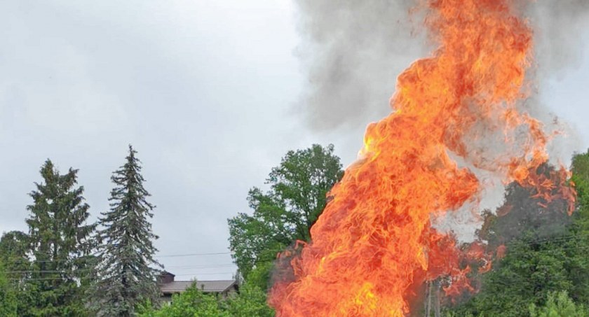 Zdjęcie ilustracyjne