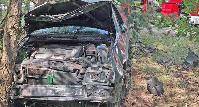Zdjęcie volkswagena, który rozbił się na drzewie