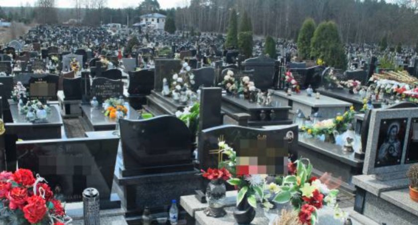 Na zdjęciu cmentarz zapełniony niemal do ostatniego miejsca