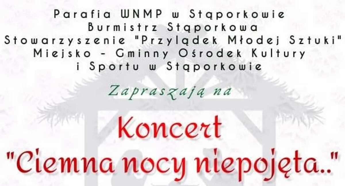 Zdjęcie plakatu koncertu