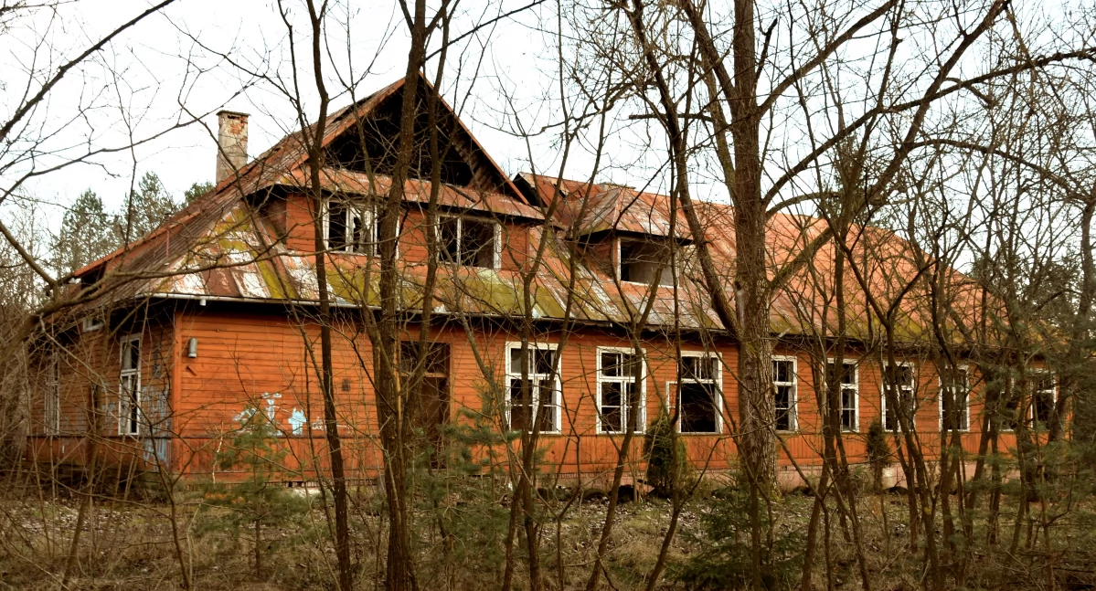 Zdjęcie tego, co zostało ze szkoły w Wąsoszu, widok przez przerzedzone krzaki