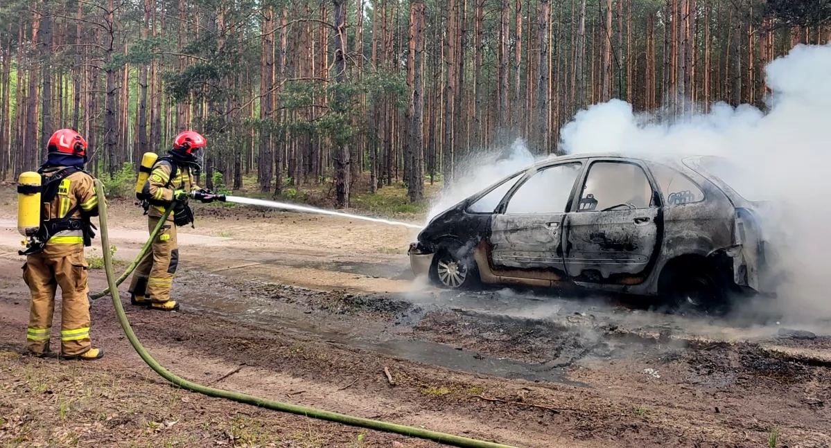 Straacy dogaszają płonące auto