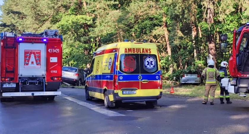 Zdjęcie służb ratowniczych i samochodów, które zderzyły się i wpadły do lasu