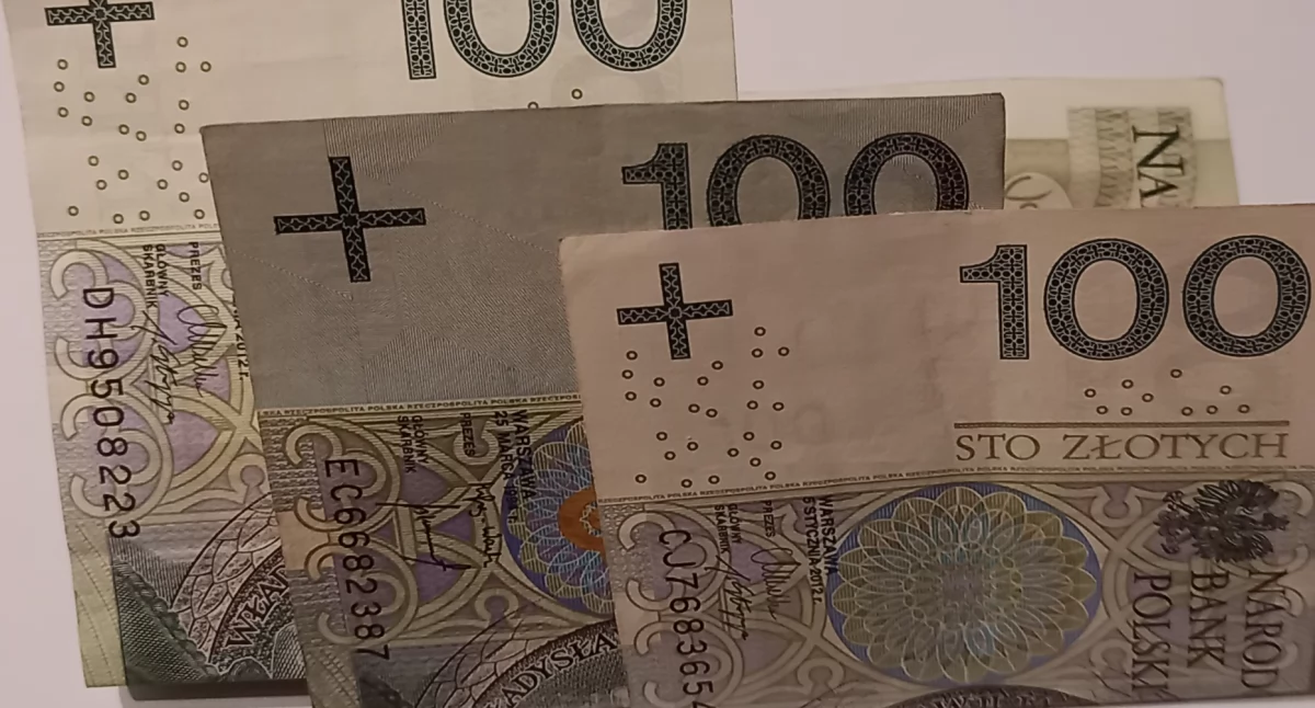 Sprawdziliśmy oświadczenia majątkowe