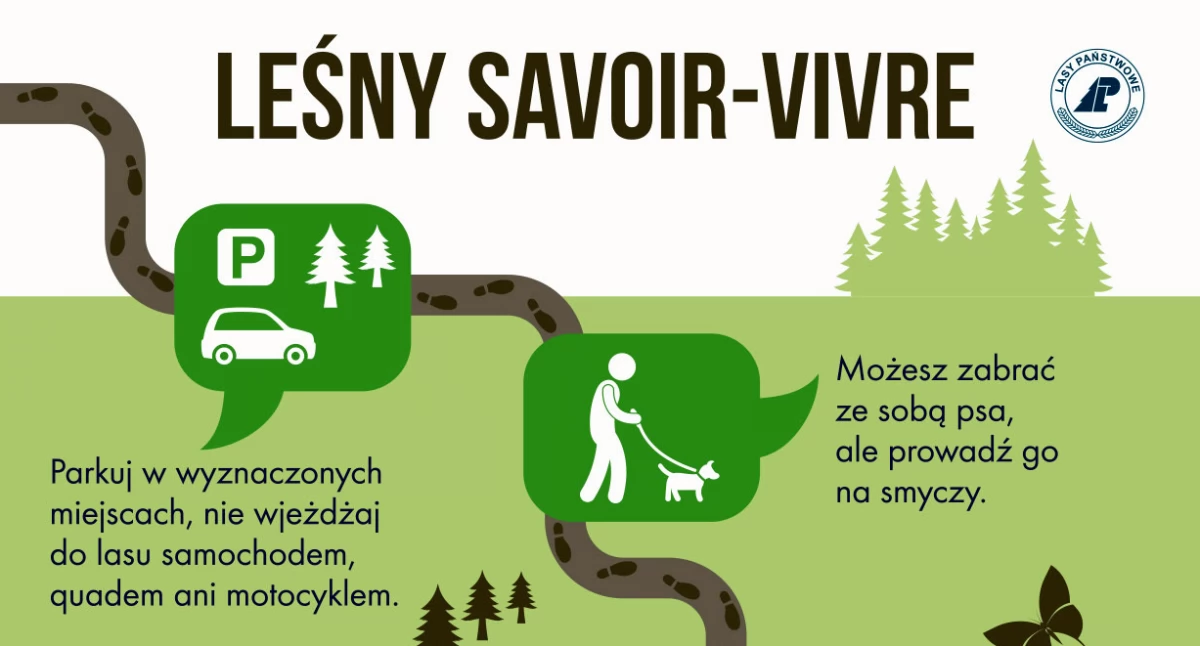 Leśny savoir-vivre (fot. Lasy Państwowe)