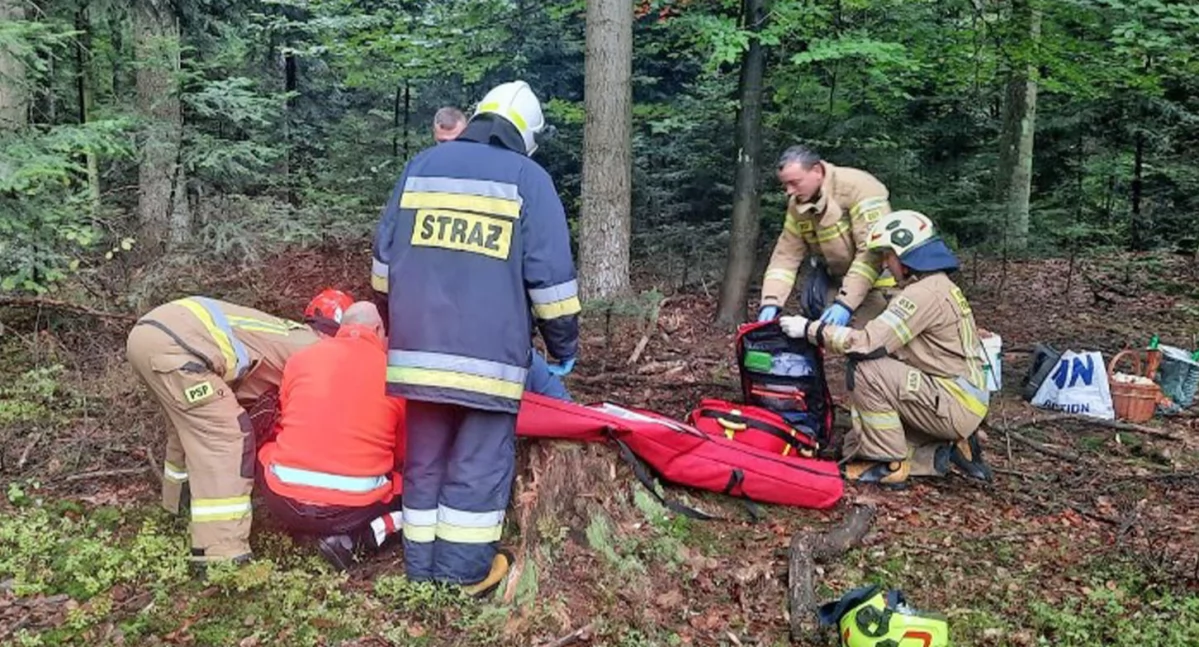 Zdjęcie strażaków z PSP Końskie i OSP Niekłań. którzy ratowali poszkodowanego