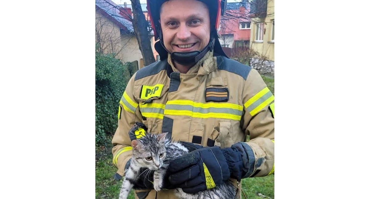 Zdjęcie strażaka i uratowanego kota