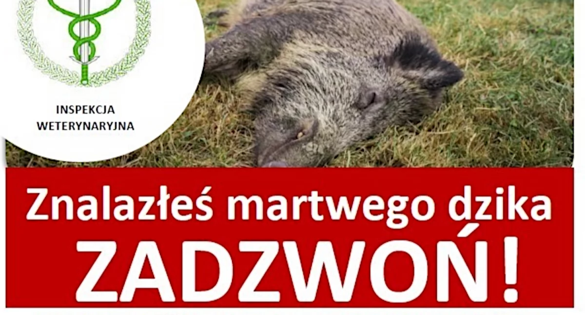 Numery telefonów:  668 815 504    660 460 492     660 460 493