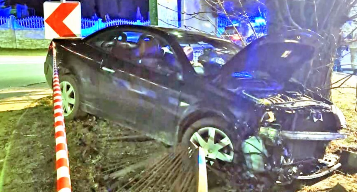 Zdjecie renault na drzewie w Czermnie