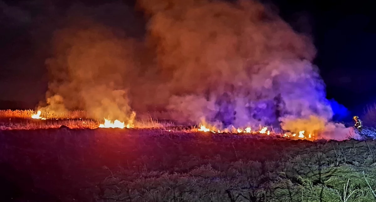 Zdjęcie pożaru trzcinowiska w Radoszycach