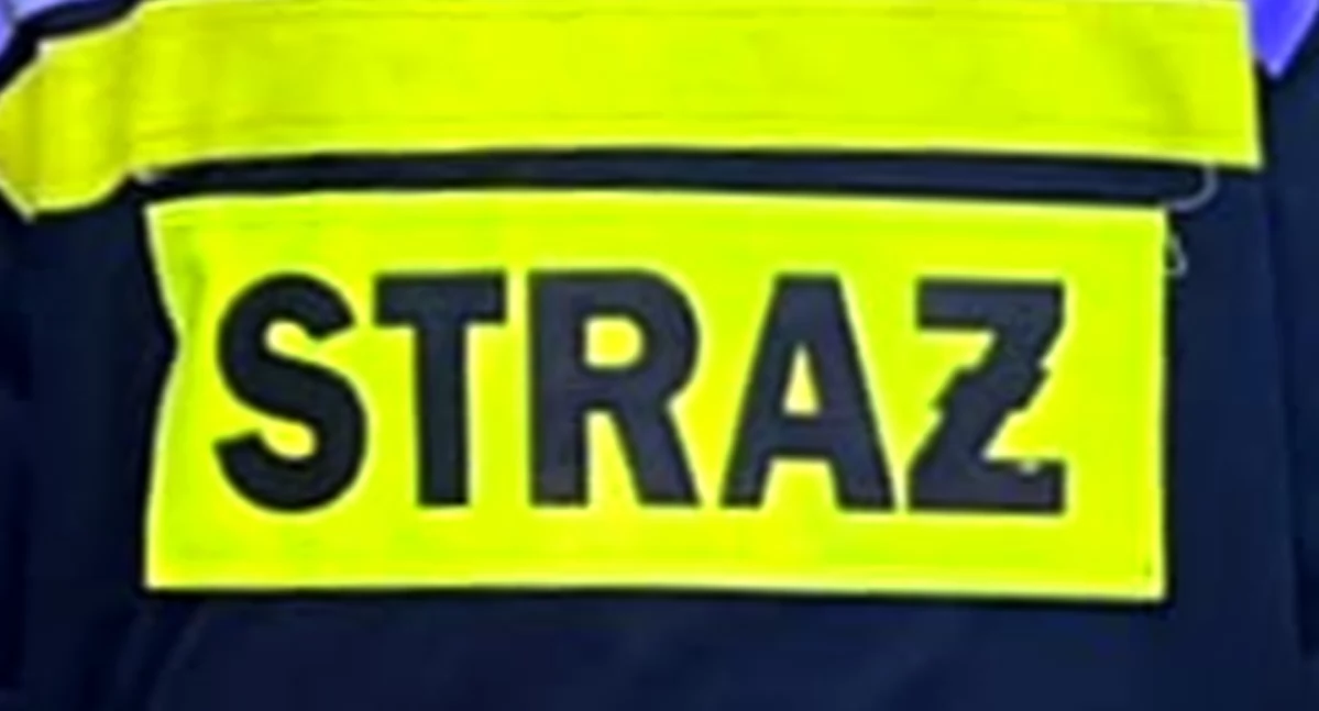 Zdjęcie ilustracyjne