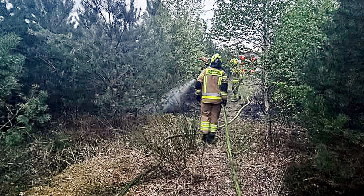 Zdjęcie z akcji strażaków. FB OSP Kazanów