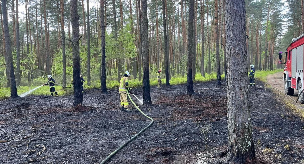 Zdjęcie strażaków przy pracy