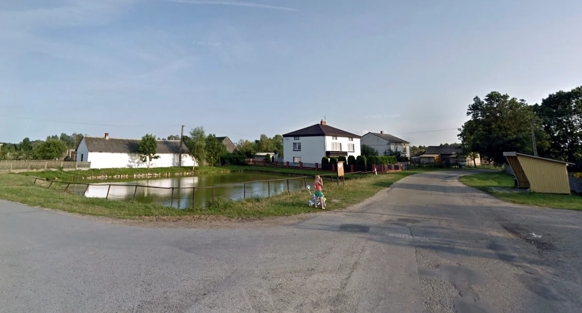 Zdjęcie wsi Trzemoszna (fot. google)
