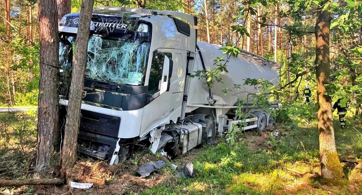 Zdjęcie ciężarówki, która po zderzeniu zatrzymała się w lesie