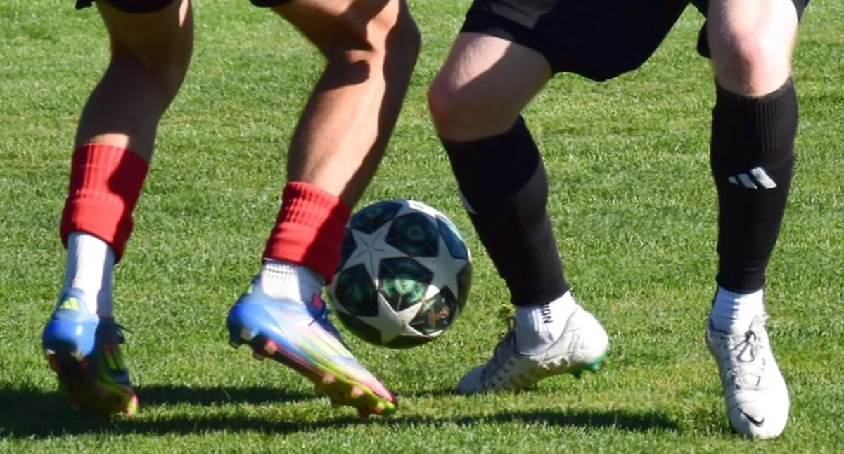 Zdjęcie ilustracyjne