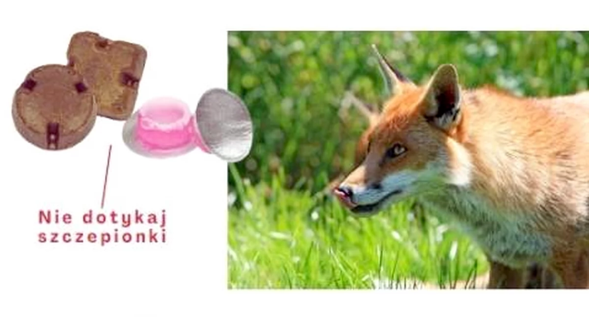 Zdjęcie plakatu akcji