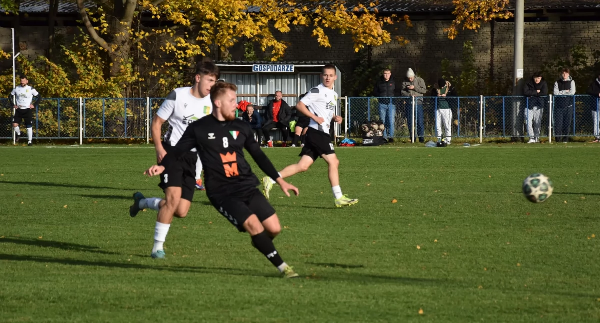 Zdjęcie ilustracyjne