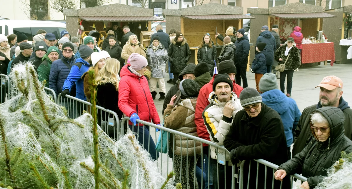 Zdjęcie z Jarmarku Świątecznego w Końskich - wzięciem w pełnym tego słowa znaczeniu cieszyły się choinki