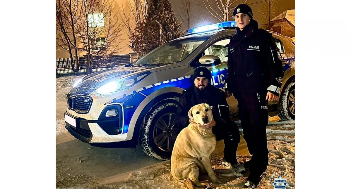 Zdjęcie labradora i jego wybawców