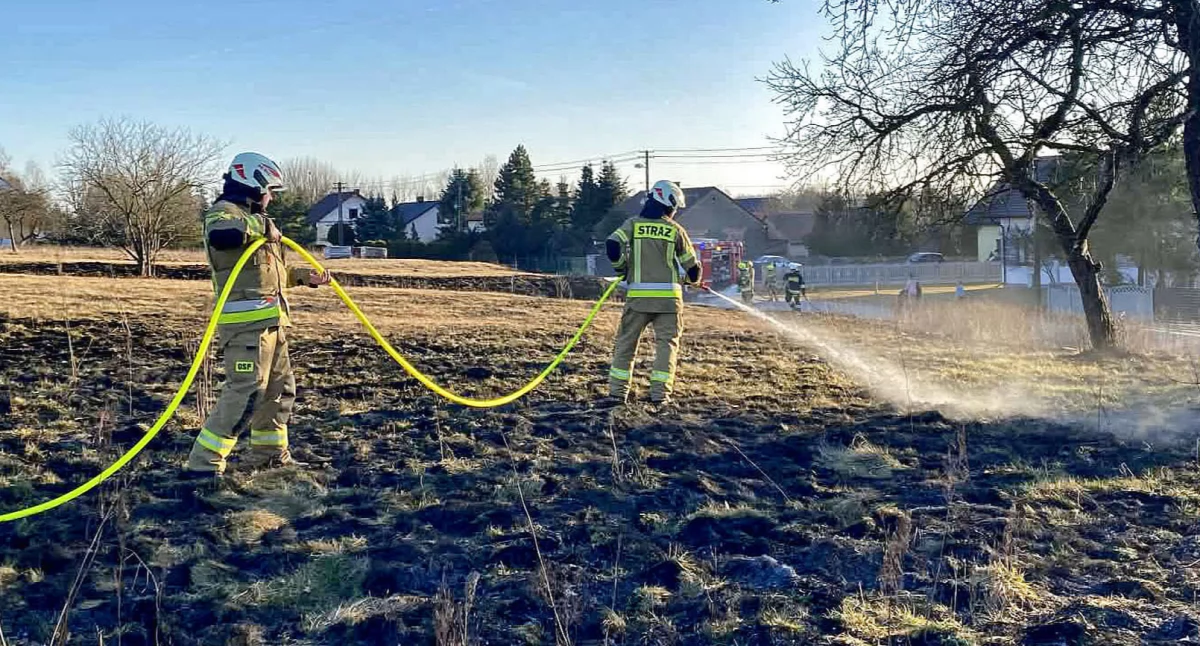 Zdjęcie druhów w akcji gaszenia nieużytków