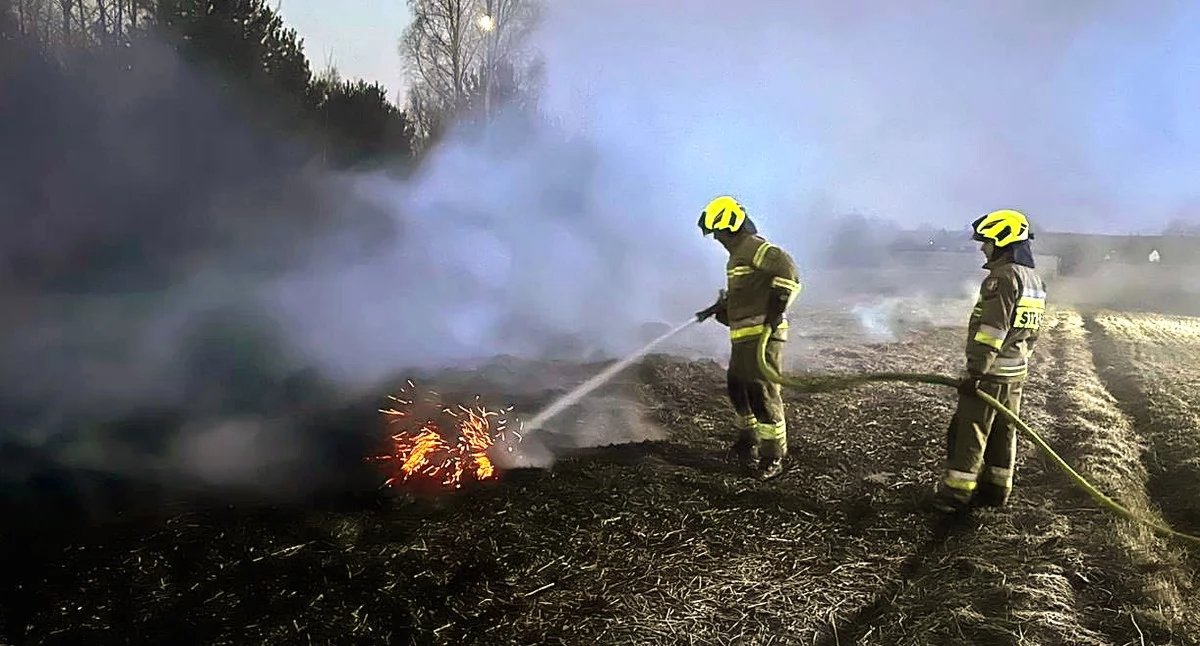 Zdjęcie strażaków, którzy gaszą pozostałości roślinne na polu