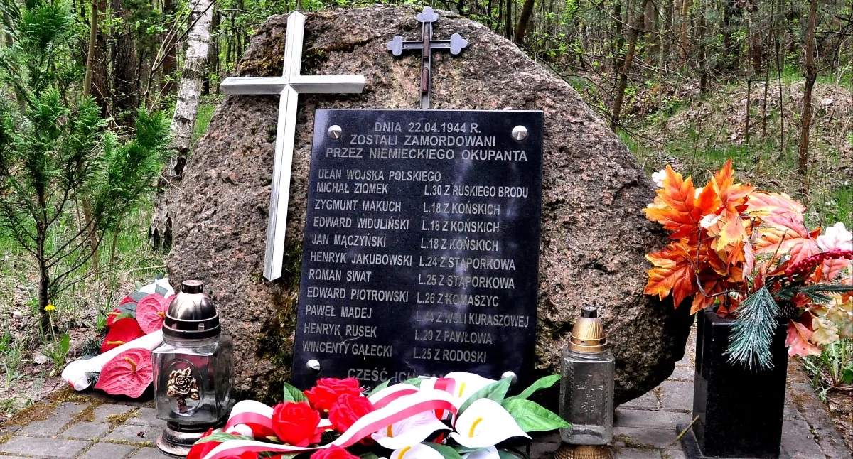 Zdjęcie pomnika w Nieświniu