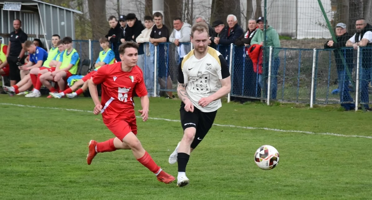 Zdjęcie ilustracyjne