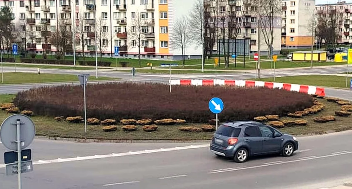 Zdjęcie ilustracyjne