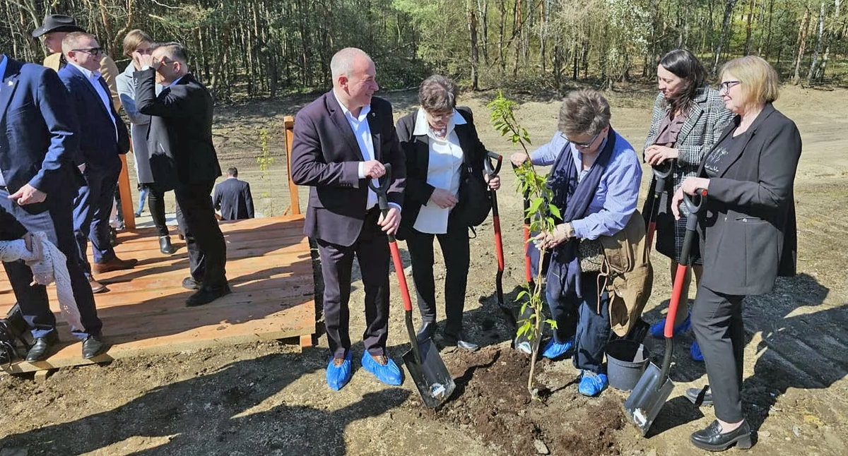 Zdjęcie: Na odnowionym, oddanym Ziemi gruncie sadzony jest las