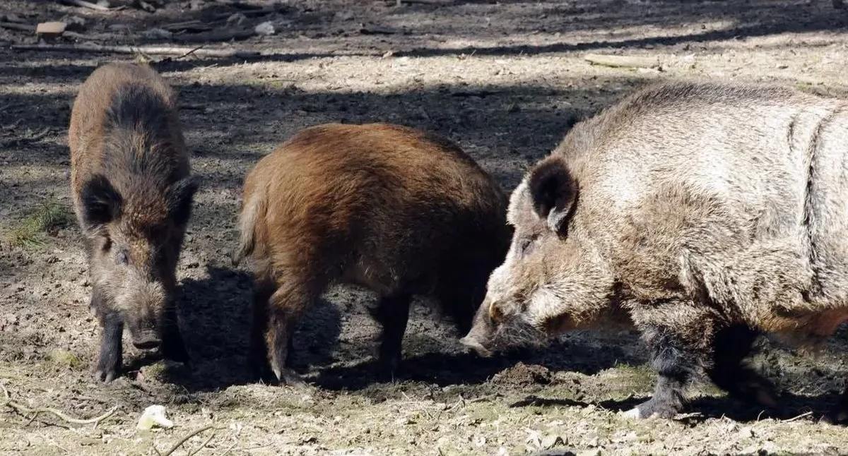 Zdjęcie ilustracyjne