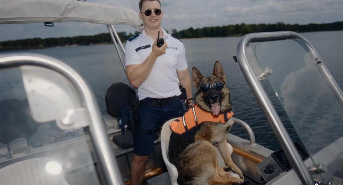 Wydarzenia , Końskie Policyjne przewodnicy wyjątkowym reportażu dzień dbają nasze bezpieczeństwo - zdjęcie, fotografia