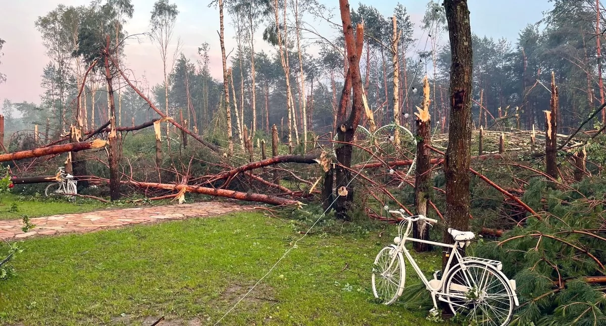 Zdjęcie powalonego lasu po nawałnicy. Fot. PSP Końskie