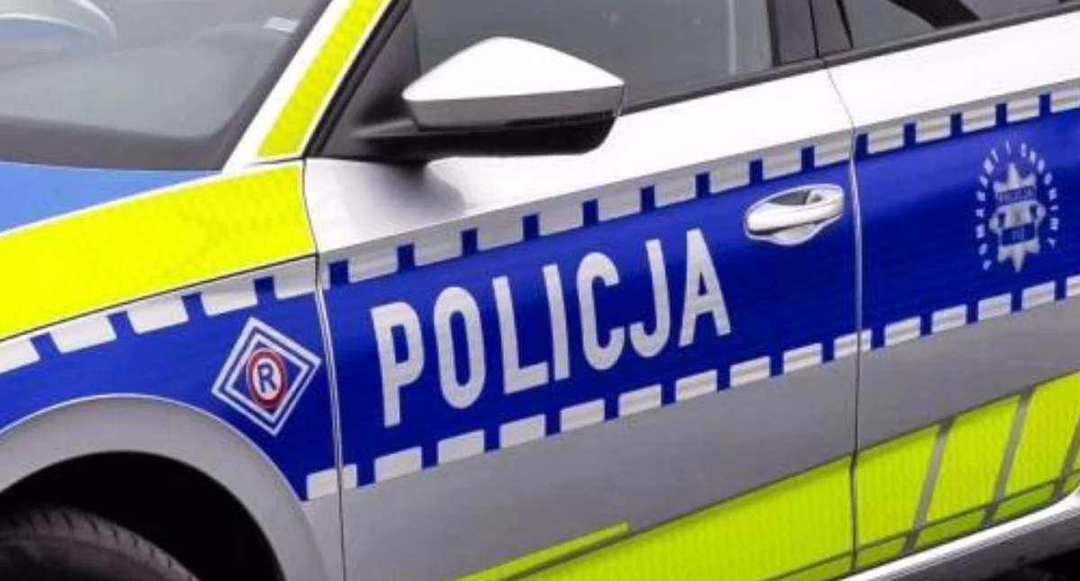 Kronika policyjna , Nerwowe zachowanie zdradziło latka znaleźli policjanci - zdjęcie, fotografia