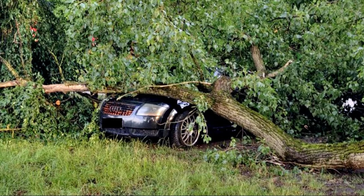 Wypadki , KOŃSKIE Pioruny wiatr ulewny deszcz poczyniły szkody - zdjęcie, fotografia