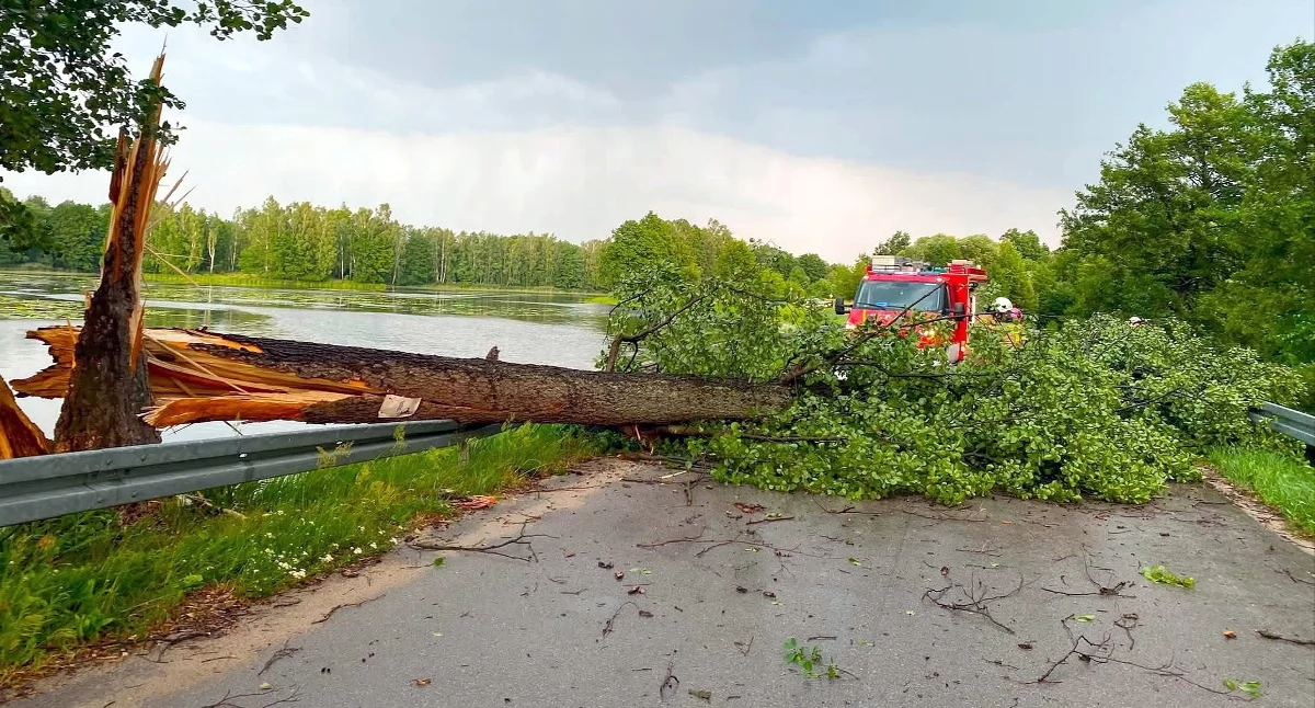 Zdjęcie zablokowanej drogi po nawałnicy. Fot. archiwum PSP Końskie