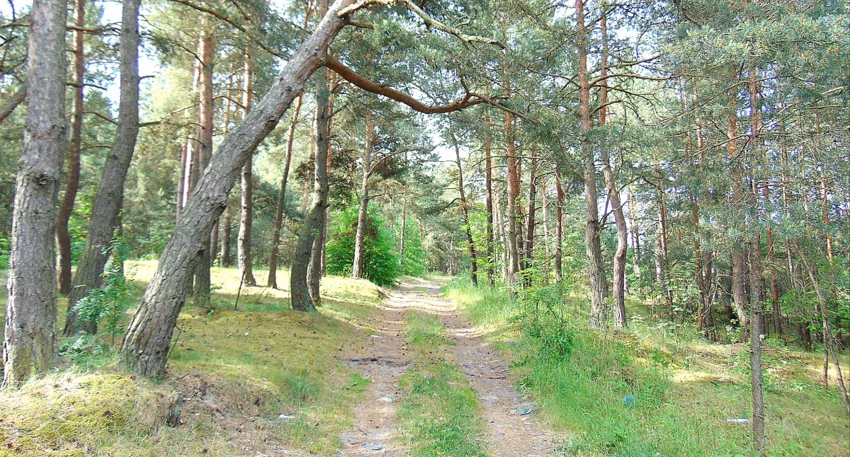 Zdjęcie ilustracyjne