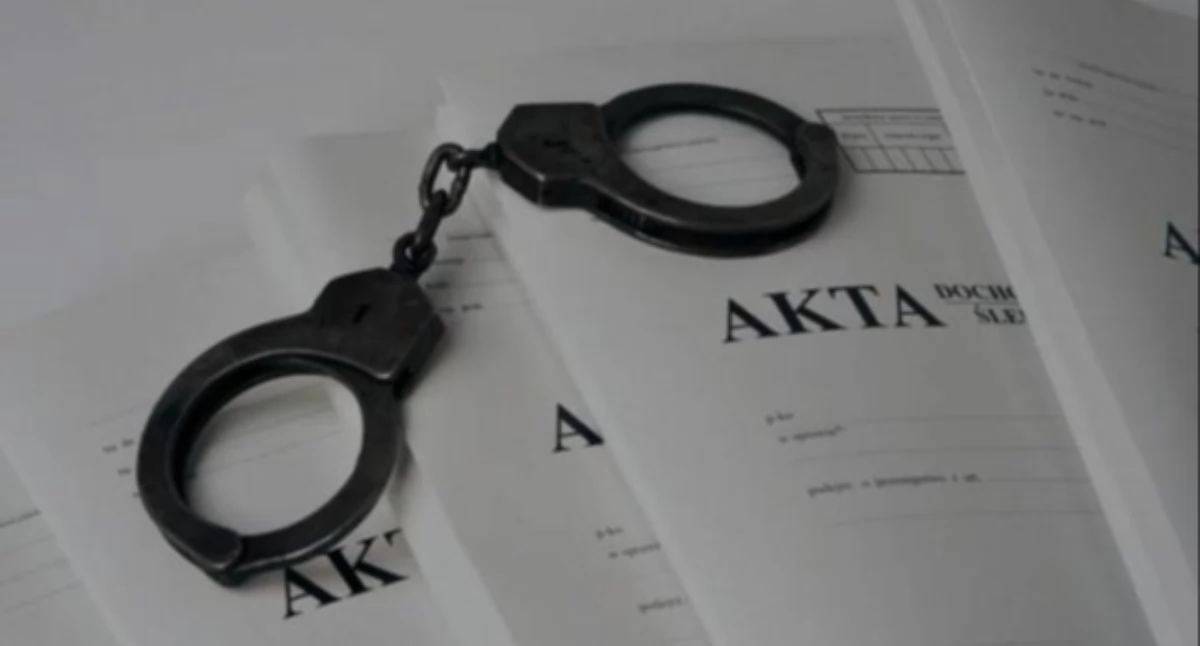 Kronika policyjna , Złodziej wszedł otwartego zniknęła Policja namierzyła kilku dniach - zdjęcie, fotografia