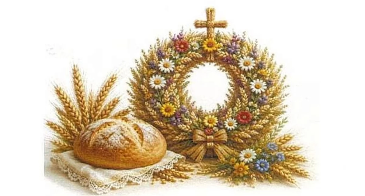 Zdjęcie ilustracyjne