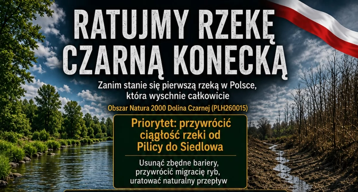 Ekologia, PILNE uratujemy Czarną Konecką stole milionów złotych ucieka! - zdjęcie, fotografia