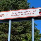 zdjęcie nr 13
