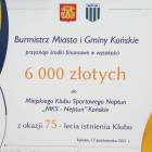 zdjęcie nr 13