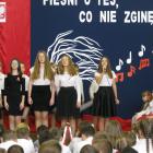 zdjęcie nr 12
